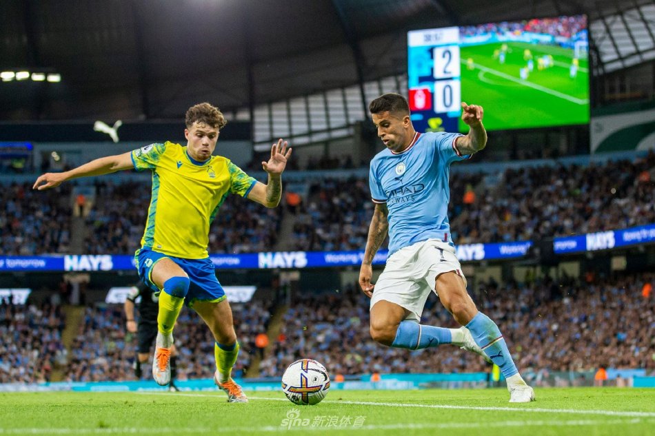 的广泛关注 的广泛关注