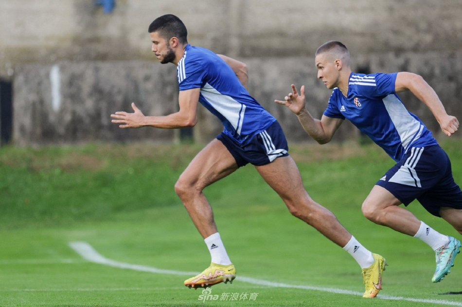 备选体系 备选体系